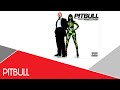 I Know You Want Me (Calle Ocho) (Instrumental ...