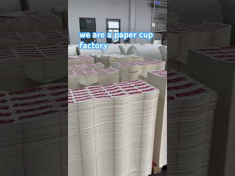High-quality paper cups directly from a Chinese factory.