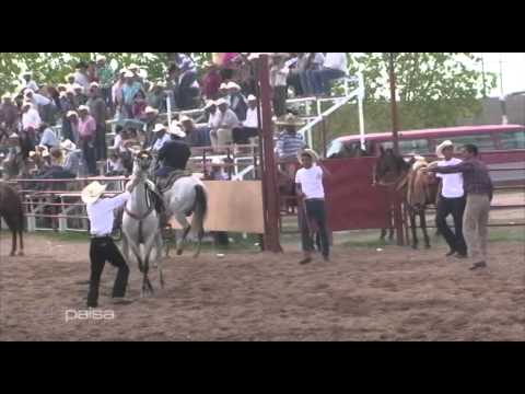 The Best of the Coleaderos - Río Grande, Zacatecas