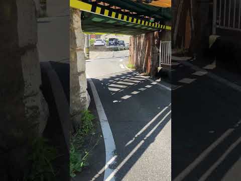 エル高架橋アンサンブル 2008.JPG