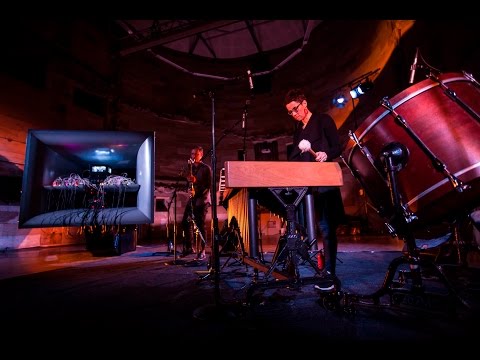 cellF with  Ensemble Offspring  (11th July, 2016)