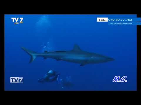 Tv7 con Voi del 17/7/2018 - Andiamo in Polinesia (3 di 3)