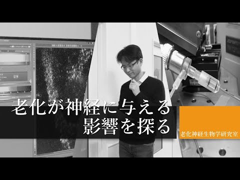 神経生物学者は脳からのデータを保護する必要があると要求