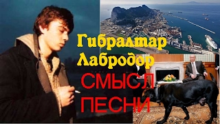 Смысл песни Гибралтар Лабрадор Бутусова этого вы не знали точно из фильма Брат-2 саундтрек OST Брат2