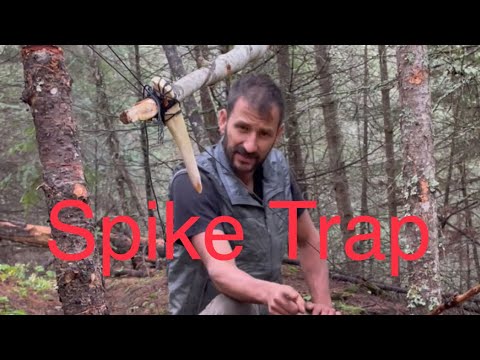 A Simple Spike Trap, with a hair trigger I designed