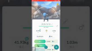 ラムパルド ポケットモンスター ヤクデ トゲキッス クサイハナ