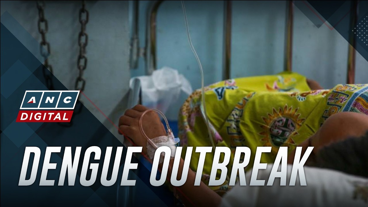Bohol declares dengue outbreak | ANC