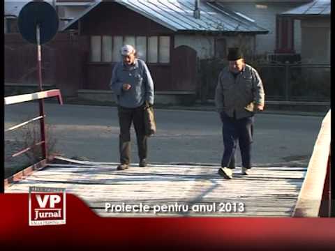 Proiecte pentru anul 2013