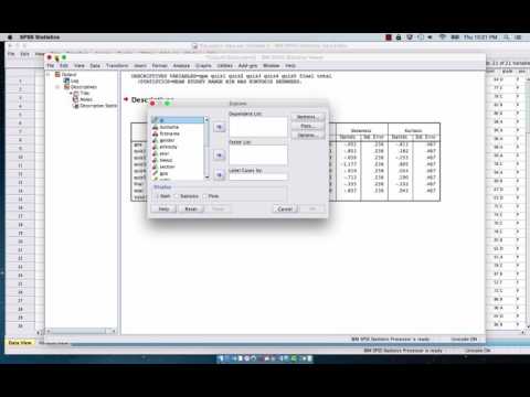 Using the SPSS Descriptives and Explore Analyses