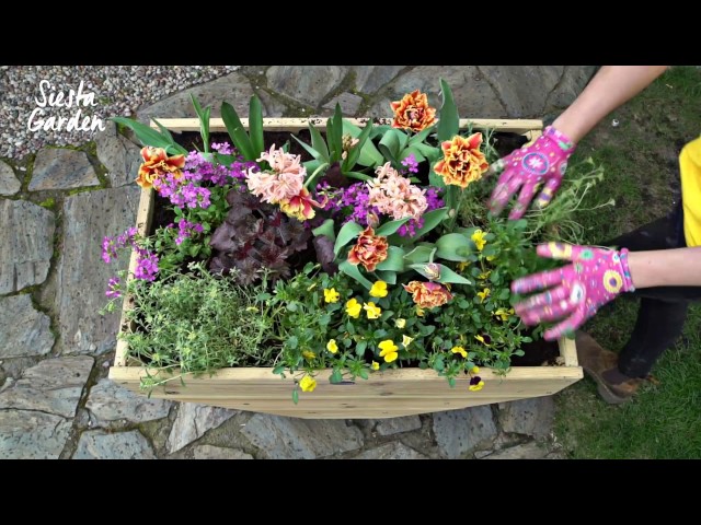 FILMY INSTRUKTAŻOWE