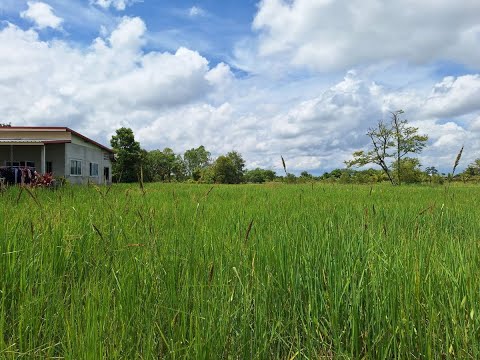 Muang Udon Thani, Udon Thani, Chiang Phin, Muang Udon Thani, Udon Thani, , 2,636 sqm, Land For Sale, by วีรภัทรา ดาร์เปอร์, 500474289 - DDproperty.com