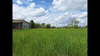 Land for Sale Udon Thani – 2,638 Sq  Mt  Near Udon Thani City, Thailand