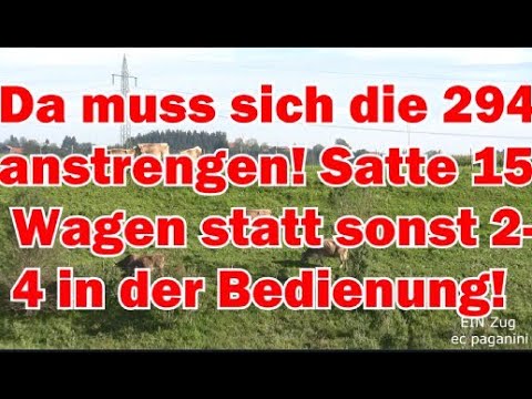 Da muss sich die 294 richtig anstrengen! Satte 15 Wagen statt der sonst 2 bis 4 in der Bedienung!
