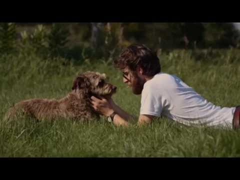 EVENING HYMNS - Rescue Teams