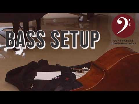 677: Bass Gear Geek-out