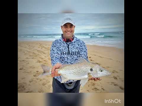 Glentana Beach,  Edible fish hunt....