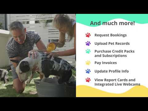 Gingr for Pet Parents