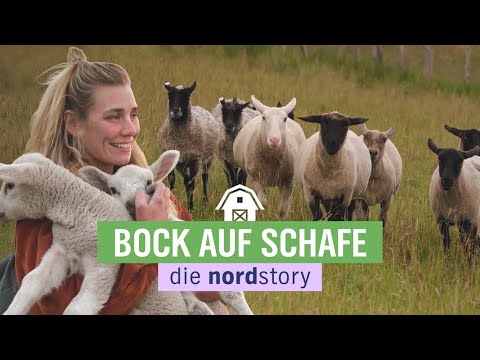 , title : 'Zukunft Wolle: von Hamburg aufs Land zu ihren Schafen | die nordstory | NDR'