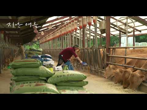 [지난 여름] 메인 예고편 예고편