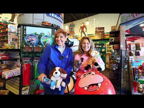 Taste of T-Town - Darlene's Real Swell Toys