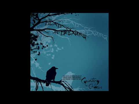 The Junior Varsity  - Raining in Baltimore  ( Counting Crows Cover )