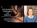 The Chong Mai, (7) Diaphragms & Digestion: A TCM Pre-Heaven Perspective with Yael Saslove L.Ac