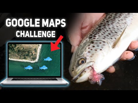 Sea Trout Google Maps Challenge - Fishing New Waters For Summer Sea Trout!