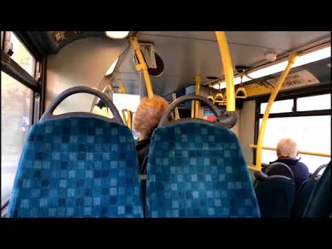 *Withdrawn!* Arriva London North ADL ALX400 Volvo B7TL VLA115 LJ05 BKF Route 370 Kickdown & Thrash!