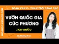 Soạn bài Vườn quốc gia Cúc Phương - trang 59, 63 | Ngữ văn 9 Chân trời sáng tạo