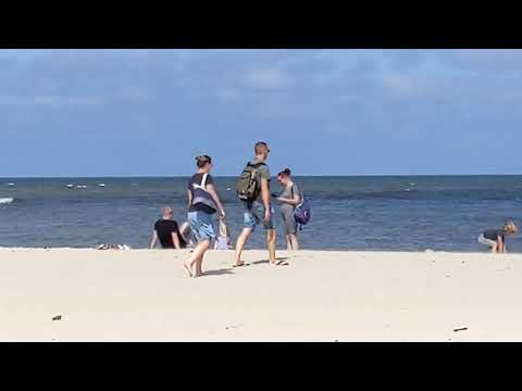 Texel - De Cocksdorp, Fonteinsnol, Den Burg (12 augustus 2021)