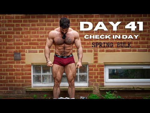 Day 41 - Check In Day Spring Bulk