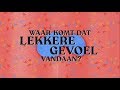 Vol verwachting klopt ons hoofd | TMI: Aandacht #3