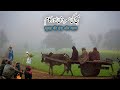 Early Morning In Village Punjab||Most Beautifull Village Life In Pakistan||Daily Rountine Work