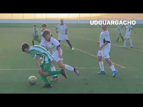 UDGuargacho -A -U. D. Ibarra-Alevin