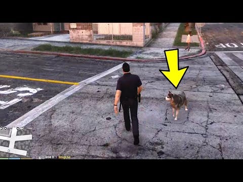 GTA 5 - K9 Officer DOG  Patrol! LSPDFR Let's Be Cops Mod Ep. #192 (Police Dog Patrol)