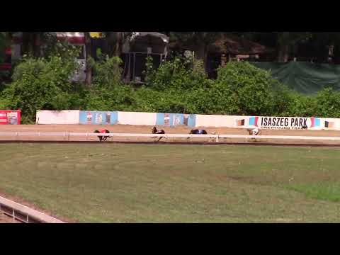 Race 2 Federation Trophy - whippet A2  275m