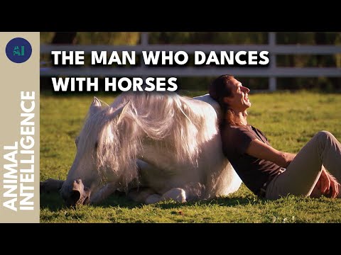 Galloping towards a dream with horses | AI