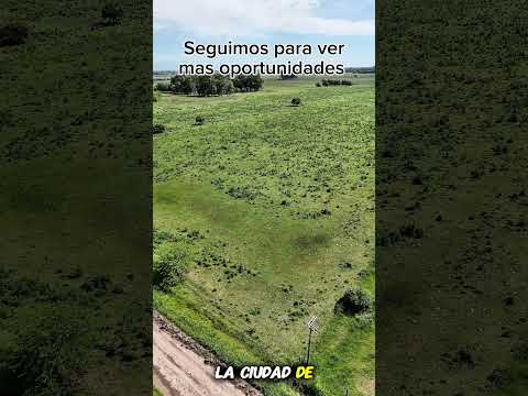 Campo en Lobos buenos aires