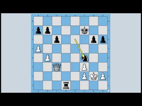 Neverovatni i neponovljivi Magnus  : Žrtva Dame  - STEFANSSON vs CARLSEN  # 1101