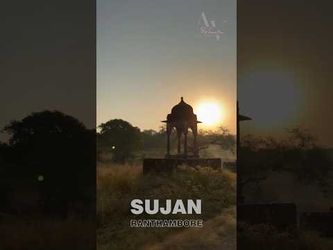 Discover the untamed beauty of Sujan Ranthambore | Av by Sweta