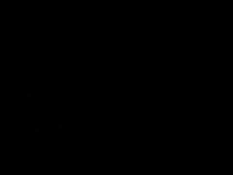 537 w melrose flooring noise issue