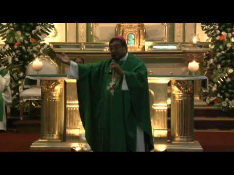 Evangelio y Homilía 28 08 11