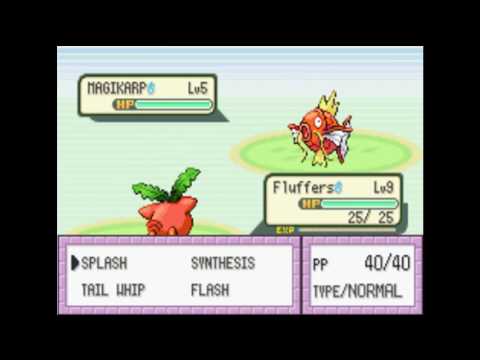 Pokemon Shiny Gold: Part 5