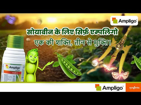 Syngenta Ampligo Insecticide