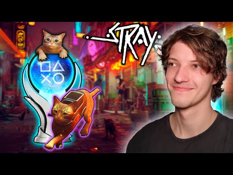 A FOFÍSSIMA JORNADA DA PLATINA DO STRAY (JOGO DO GATO)  - REVI PLATINA (RTP)