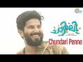 Charlie Chundari Penne Malayalm Whatsapp Status Kunjikka Dq Salmaan Malayalam Charlie