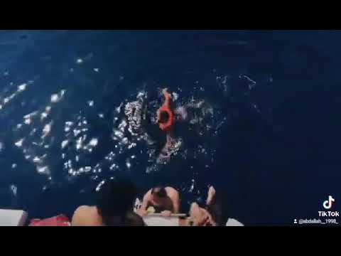 بورتو السخنه (يوم كامل ف قلب البحر يخت خاص)