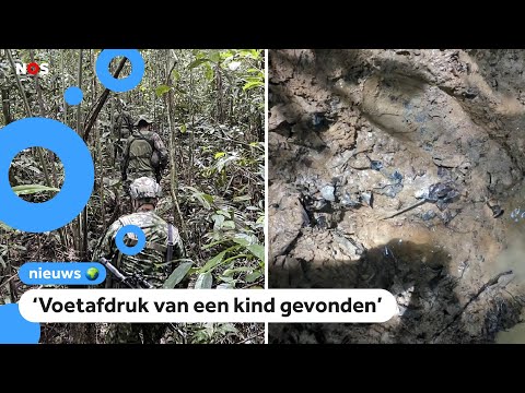 Nieuwe sporen gevonden van vermiste kinderen in jungle Colombia