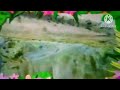 The Amazing World Water