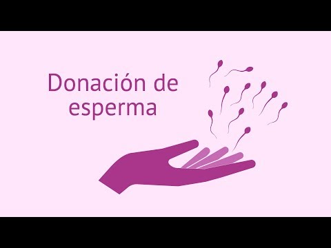 Donación de semen: requisitos para ser donante, precio y tratamientos